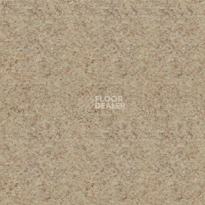 Линолеум Lg Delight DLT9103 фото 1 | FLOORDEALER