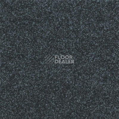 Ковролин Tarkett Enter Enter 66810 фото 1 | FLOORDEALER