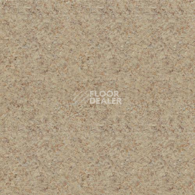 Линолеум Lg Delight DLT9103 фото 1 | FLOORDEALER