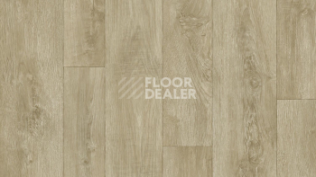 Линолеум Tarkett Philosophy DIAKIRI 5 фото 1 | FLOORDEALER
