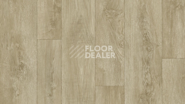 Линолеум Tarkett Philosophy DIAKIRI 5 фото 1 | FLOORDEALER