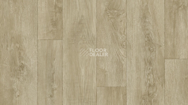 Линолеум Tarkett Philosophy DIAKIRI 5 фото 1 | FLOORDEALER