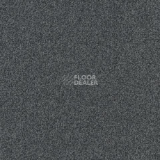 Ковролин Spark W2W 530 Spark w2w фото 1 | FLOORDEALER