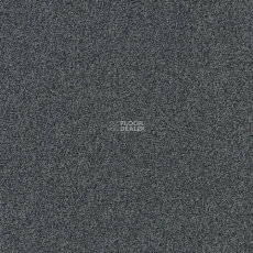 Spark W2W 530 Spark w2w фото 1 | FLOORDEALER