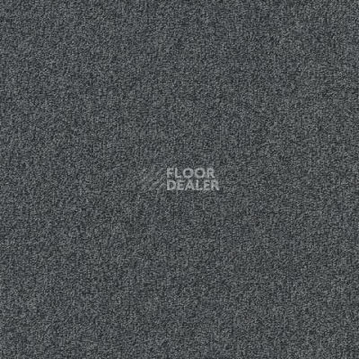 Ковролин Spark W2W 530 Spark w2w фото 1 | FLOORDEALER