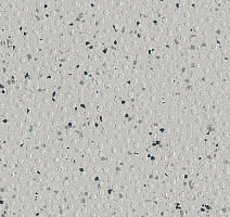 Линолеум Polyflor Polysafe Hydro Evolve 4253 фото 1 | FLOORDEALER