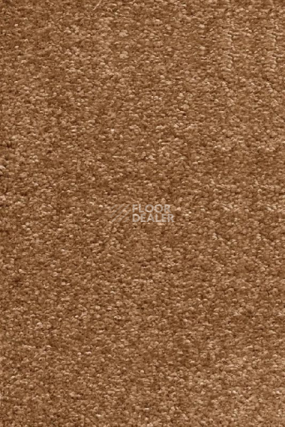 Ковролин AW Omnia 80 фото 1 | FLOORDEALER