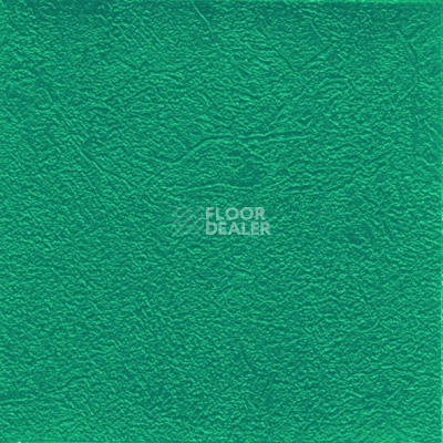 Линолеум Graboflex Gymfit 25 4000_675_3 фото 1 | FLOORDEALER