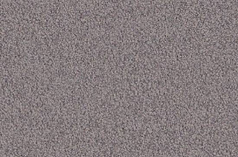 Ковролин Vorwerk Viola 5n65 фото 1 | FLOORDEALER