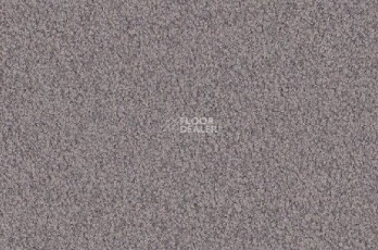 Ковролин Vorwerk Viola 5n65 фото 1 | FLOORDEALER