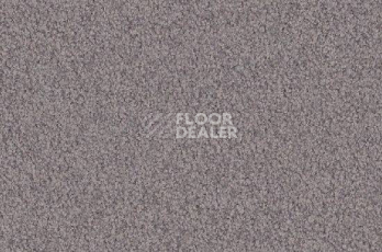 Ковролин Vorwerk Viola 5n65 фото 1 | FLOORDEALER