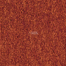 Balsan Pilote 2 Loop 530 фото 1 | FLOORDEALER