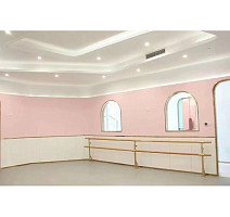 Apoluza SportFloor PVC Dance 2.0