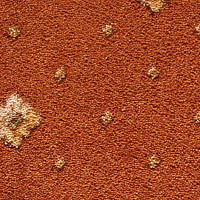 Ковролин Condor Carpets Asia 236 фото 1 | FLOORDEALER