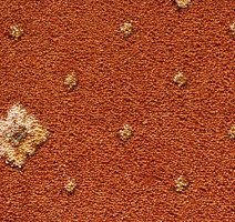 Ковролин Condor Carpets Asia 236 фото 1 | FLOORDEALER