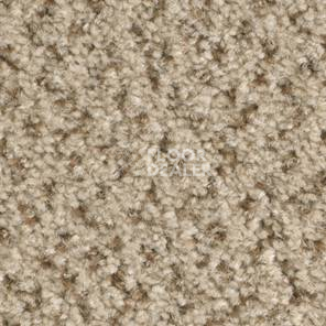 Ковролин Balsan Tango Tango 610 фото 1 | FLOORDEALER