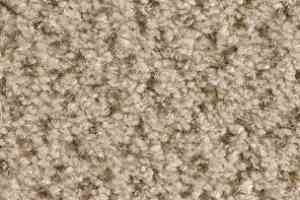 Ковролин Balsan Tango Tango 610 фото  | FLOORDEALER