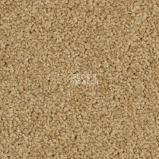 Ковролин Balsan Serenite 640 фото 1 | FLOORDEALER