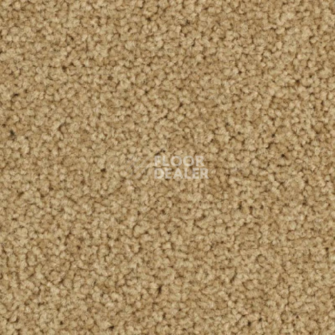 Ковролин Balsan Serenite 640 фото 1 | FLOORDEALER