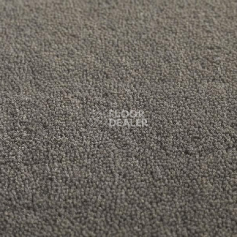 Ковролин Jacaranda Carpets Heavy Velvet Seal фото 1 | FLOORDEALER