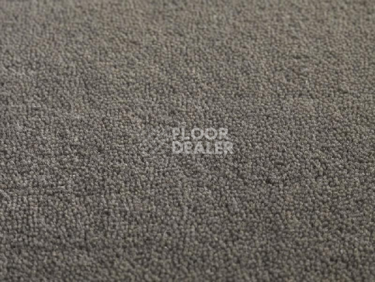 Ковролин Jacaranda Carpets Heavy Velvet Seal фото 1 | FLOORDEALER
