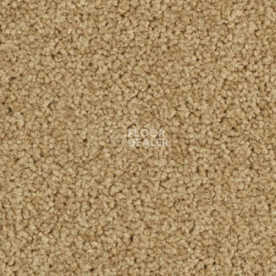 Ковролин Balsan Serenite 640 фото 1 | FLOORDEALER