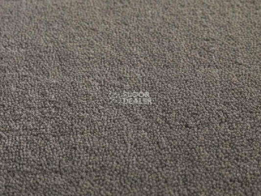 Ковролин Jacaranda Carpets Heavy Velvet Seal фото 1 | FLOORDEALER
