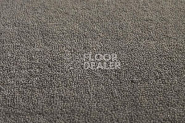 Ковролин Jacaranda Carpets Heavy Velvet Seal фото 1 | FLOORDEALER
