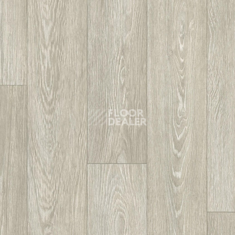 Линолеум Tarkett Junior ARNOLD 1 фото 1 | FLOORDEALER
