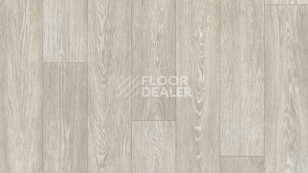 Линолеум Tarkett Junior ARNOLD 1 фото 1 | FLOORDEALER