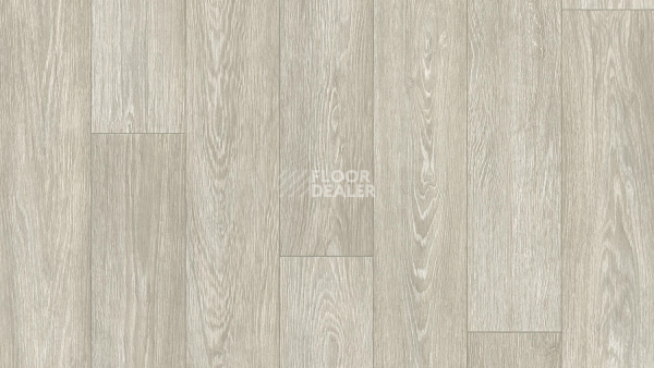 Линолеум Tarkett Junior ARNOLD 1 фото 1 | FLOORDEALER