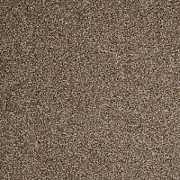 Ковролин ITC Evolve Evolve 49 фото 1 | FLOORDEALER