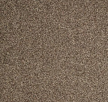 Ковролин ITC Evolve Evolve 49 фото 1 | FLOORDEALER