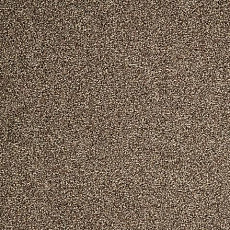 Ковролин ITC Evolve Evolve 49 фото 1 | FLOORDEALER