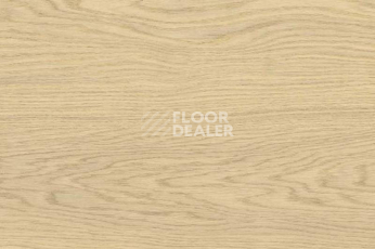 Пробковое покрытие Wood OAK CREME фото 1 | FLOORDEALER