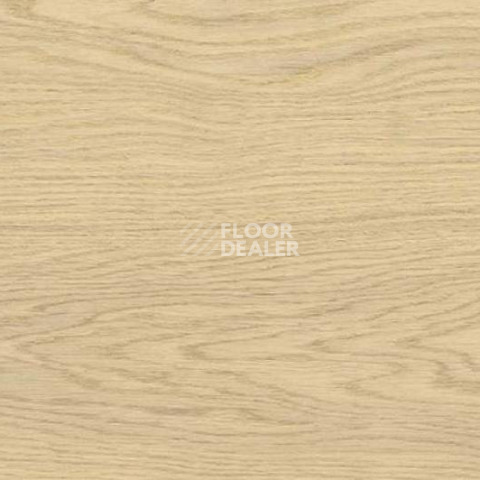 Пробковое покрытие Wood OAK CREME фото 1 | FLOORDEALER