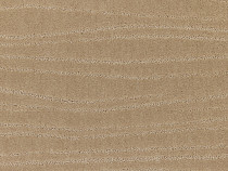 Ковролин Carve Linea 251 Magnolia 1 фото 1 | FLOORDEALER