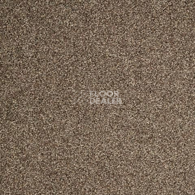 Ковролин ITC Evolve Evolve 49 фото 1 | FLOORDEALER