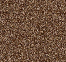 Ковролин AW Timeless 38 фото 1 | FLOORDEALER