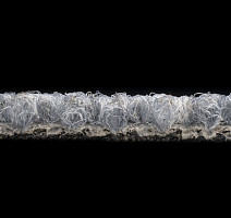 Desso Essence 9036 фото 3 | FLOORDEALER