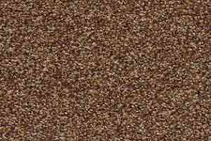 Ковролин AW Timeless 38 фото  | FLOORDEALER