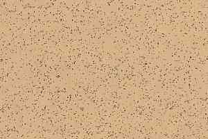 Линолеум Polyflor Polysafe Ecomax 4621 Cassia фото  | FLOORDEALER