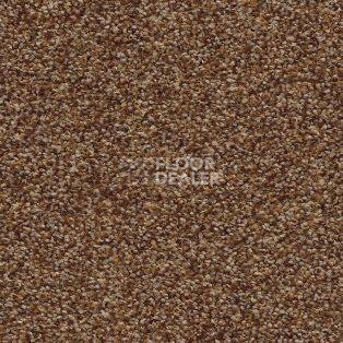 Ковролин AW Timeless 38 фото 1 | FLOORDEALER