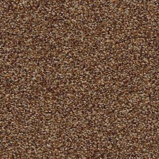 Ковролин AW Timeless 38 фото 1 | FLOORDEALER