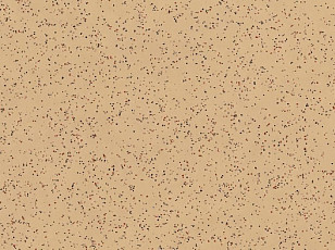 Линолеум Polyflor Polysafe Ecomax 4621 Cassia фото 1 | FLOORDEALER