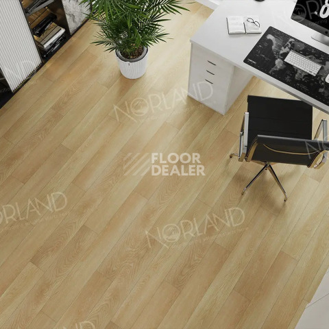 Norland Elegant 8мм Дуб Тасмания LF301-04 фото 2 | FLOORDEALER