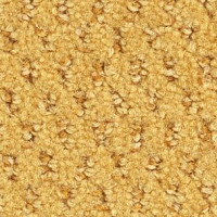 Ковролин Balsan Balmoral Balmoral 350 фото 1 | FLOORDEALER