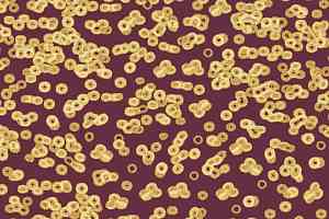 Ковролин Flotex Sottsass Bacteria 990501 фото  | FLOORDEALER