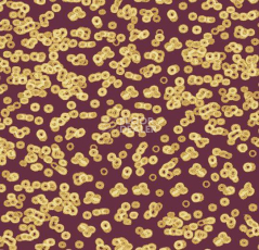 Ковролин Flotex Sottsass Bacteria 990501 фото 1 | FLOORDEALER