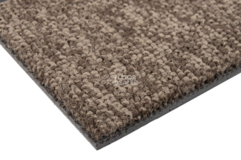 Standard Carpets Spectrum sm 545 фото 5 | FLOORDEALER
